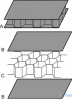 Полипропиленовый сотовый лист Honeycomb  15мм (1150мм.х 2300мм.) PP 8T 40F 1